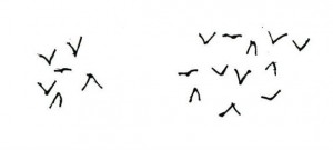 Gieren. In de Oudheid keek men vaak naar de vogels in de lucht om de toekomst of de wil van de goden te bepalen. Zo proberen Romulus en Remus te beslissen wie van hen koning van Rome wordt. Eerst ziet Romulus 