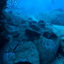 amforen-op-de-zeebodem---foto-soprintendenza-dei-beni-culturali-e-ambientali-del-mare-palermo